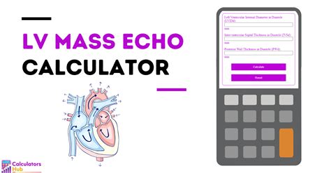 echocardiogram calculator.